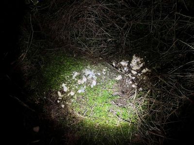 ГДБОП арестува четирима за производство и разпространение на наркотици в областите Стара Загора и Сливен