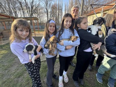 Децата от ОУ “Св. Паисий Хилендарски“ посетиха приюта за животни в Казанлък и посрещнаха гости от „Зелени Балкани“