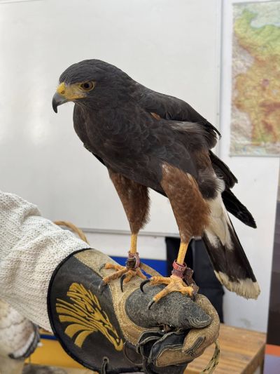 Децата от ОУ “Св. Паисий Хилендарски“ посетиха приюта за животни в Казанлък и посрещнаха гости от „Зелени Балкани“