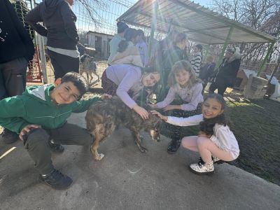 Децата от ОУ “Св. Паисий Хилендарски“ посетиха приюта за животни в Казанлък и посрещнаха гости от „Зелени Балкани“