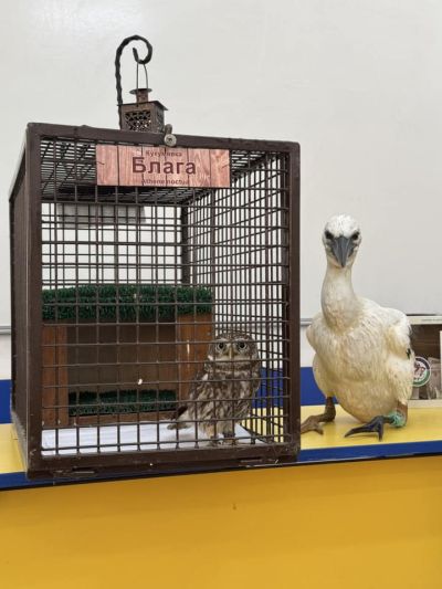 Децата от ОУ “Св. Паисий Хилендарски“ посетиха приюта за животни в Казанлък и посрещнаха гости от „Зелени Балкани“