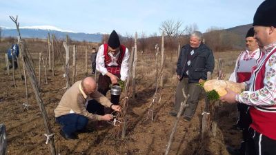 В село Долно Изворово ще зарязват лозята на 14 февруари  / Новини от Казанлък