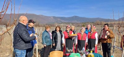 На Трифоновден зарязаха лозята в казанлъшкото село Долно Изворово