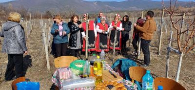 На Трифоновден зарязаха лозята в казанлъшкото село Долно Изворово