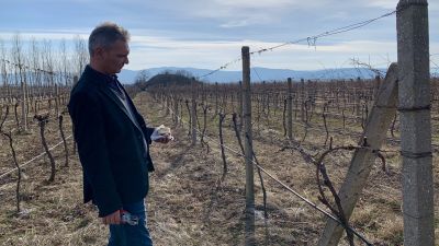 Деца от няколко населени места откриха магията на Трифон Зарезан – урок за традициите и българското наследство