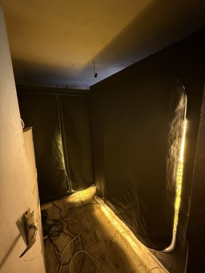 Лаборатория за отглеждане на коноп разкриха в Казанлък. Има задържан