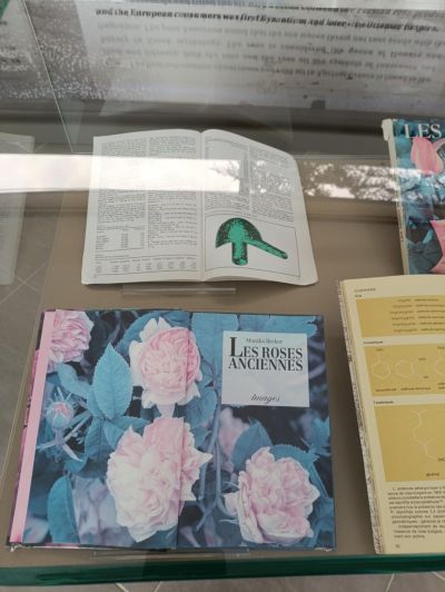 Ученици от ПХГ „Св. Св. Кирил и Методий присъстваха на открит урок в Музея на розата в Казанлък 