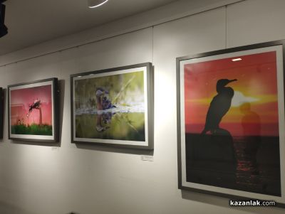 Крайдунавските фотографи от Русе подредиха изложба в Казанлък 
