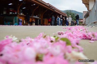 “Дамасцена“ кани на пищни и цветни Дни на розата на 7 и 8 юни  
