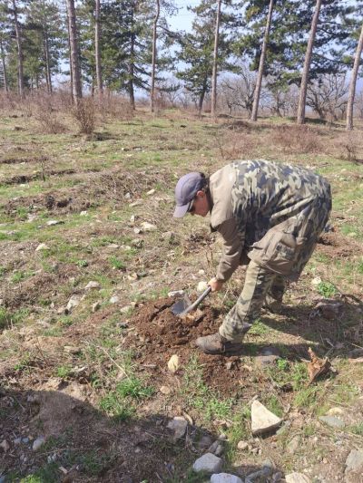 Служители от ДГС Казанлък залесиха със 110 фиданки землището на град Шипка