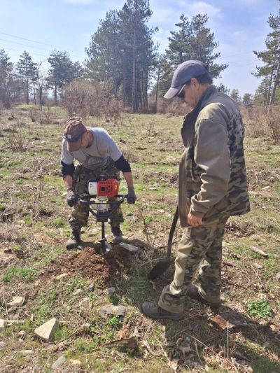 Служители от ДГС Казанлък залесиха със 110 фиданки землището на град Шипка