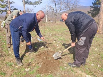 Служители от ДГС Казанлък залесиха със 110 фиданки землището на град Шипка