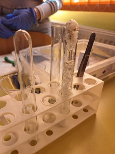 Открит лабораторен урок по химия и опазване на околната среда се състоя в ПХГ “Св. Св. Кирил и Методий“ - Казанлък 