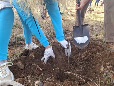 Служители от ДГС Казанлък залесиха със 110 фиданки землището на град Шипка