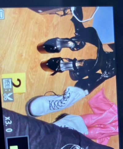 И Казанлък излиза на протест срещу зверствата над животни