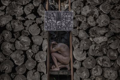 С редица медали бе отличена серията “В търсене на себе си“ на Тодор Тилев в международно фотографско състезание 