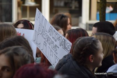 Десетки хора протестираха в Казанлък срещу насилието над животни