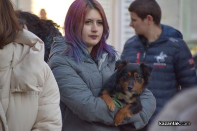 Десетки хора протестираха в Казанлък срещу насилието над животни