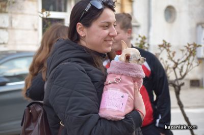 Десетки хора протестираха в Казанлък срещу насилието над животни