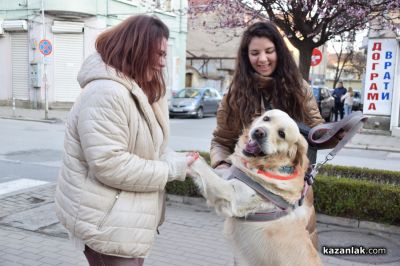 Десетки хора протестираха в Казанлък срещу насилието над животни