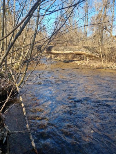 ПХГ „Св. Св. Кирил и Методий“ отбеляза Световния ден на горите с посещение на защитената местност „Гората на Боряна“