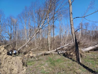 ПХГ „Св. Св. Кирил и Методий“ отбеляза Световния ден на горите с посещение на защитената местност „Гората на Боряна“