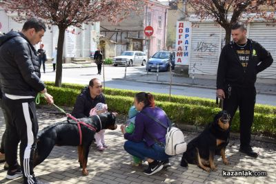 Казанлъчани отново се обединиха срещу жестокостта към животни