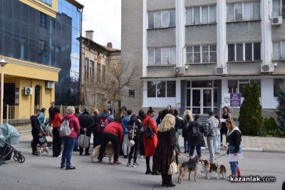 Казанлъчани отново се обединиха срещу жестокостта към животни