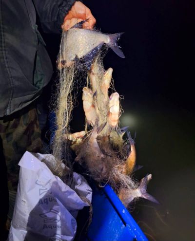 ИАРА дари близо 80 кг. бракониерска риба на СНЦ “Зелени Балкани“