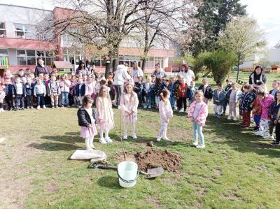 Горски служители и доброволци обединиха усилия в залесителна акция край град Шипка