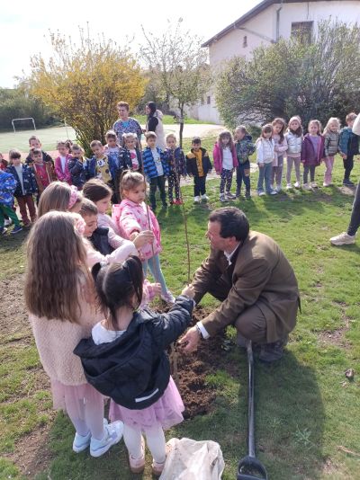 Горски служители и доброволци обединиха усилия в залесителна акция край град Шипка