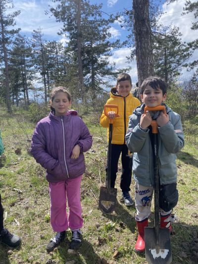 Горски служители и доброволци обединиха усилия в залесителна акция край град Шипка