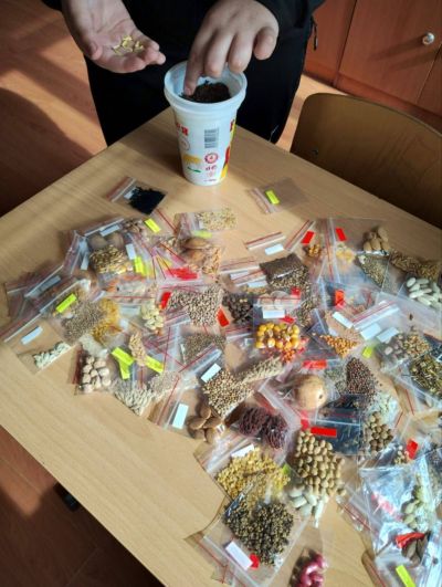 ОУ „Георги Кирков“ успешно изпълни дейностите по своя проект „Моето любимо зелено екокътче“