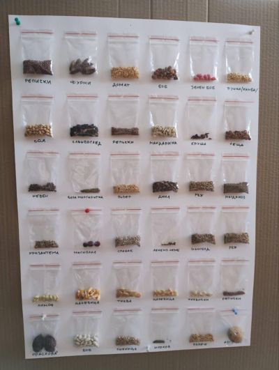 ОУ „Георги Кирков“ успешно изпълни дейностите по своя проект „Моето любимо зелено екокътче“