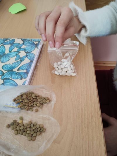 ОУ „Георги Кирков“ успешно изпълни дейностите по своя проект „Моето любимо зелено екокътче“