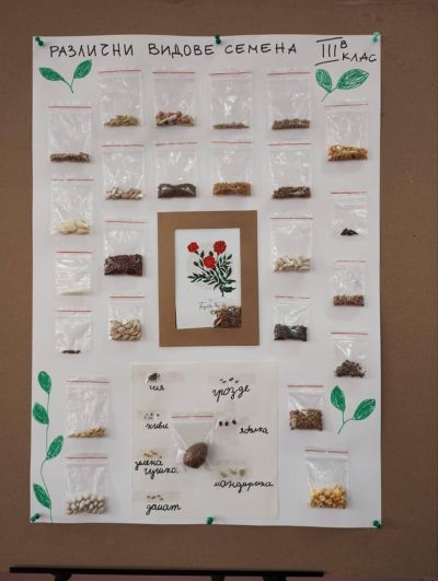 ОУ „Георги Кирков“ успешно изпълни дейностите по своя проект „Моето любимо зелено екокътче“