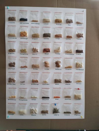 ОУ „Георги Кирков“ успешно изпълни дейностите по своя проект „Моето любимо зелено екокътче“