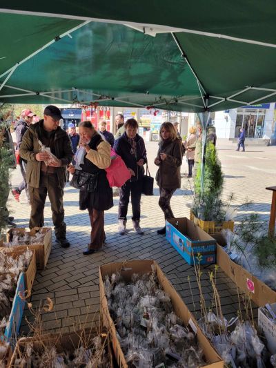 Държавното горско стопанство зарадва жителите на Казанлък с 800 фиданки 