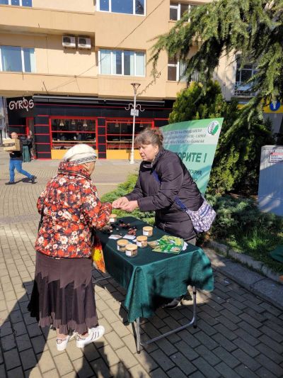 Държавното горско стопанство зарадва жителите на Казанлък с 800 фиданки 