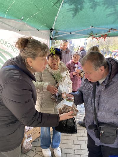 Държавното горско стопанство зарадва жителите на Казанлък с 800 фиданки 