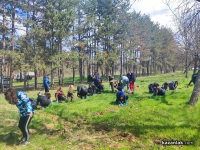 Ученици от Математическата гимназия и Механото залесяваха с фиданки край язовир “Копринка“