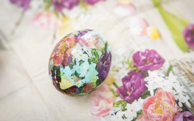 Тийн китчън „Споделен Великден“ се проведе в ПГЛПТ