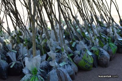 В Казанлък започна мащабното събитие „Дни на иновации за защита на природата от пожари“