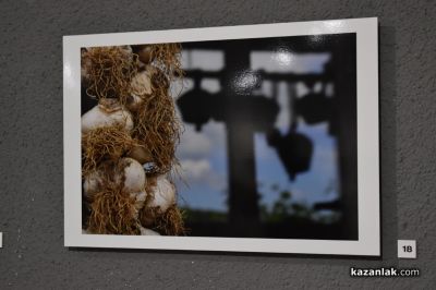 Невена Коканова и любимото ѝ с. Иглика препълниха Галерията в Казанлък