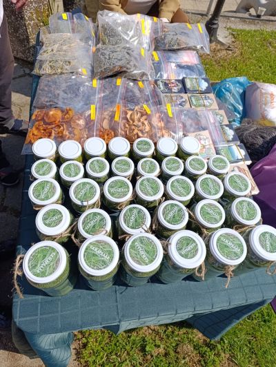 Бузовград посрещна гости от близо и далеч за 12-ото издание на „Люлякови празници“