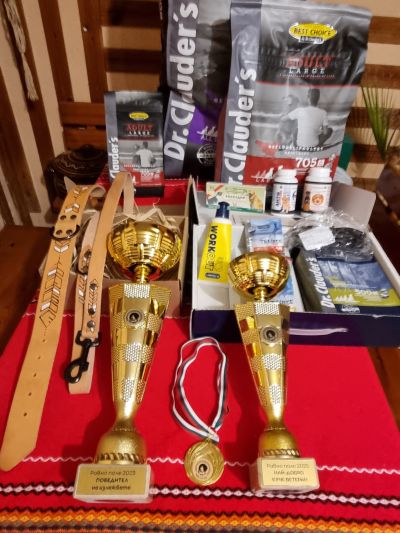 Две каракачански кучета от Средногорово изпъкнаха на изложба сред конкуренцията