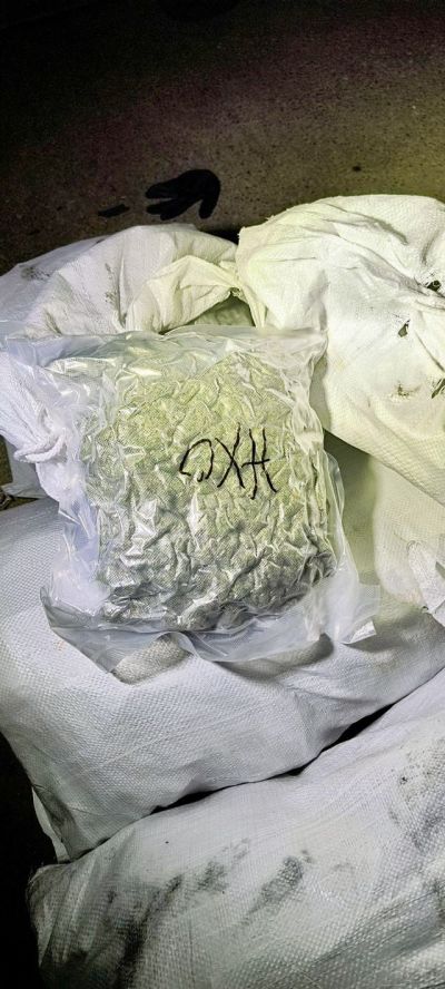 След спецакция: Намериха 145 кг. марихуана за близо 3 млн. лева в Старозагорско 