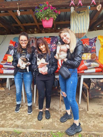 Рожден ден с кауза: Бездомничетата от Приюта за животни на Казанлък получиха храна и ласки