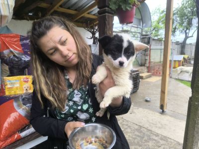 Рожден ден с кауза: Бездомничетата от Приюта за животни на Казанлък получиха храна и ласки