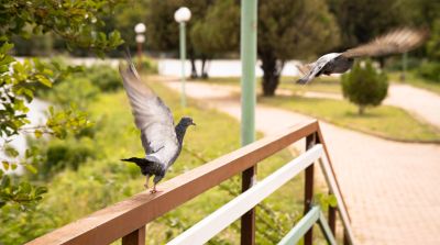 Контраадмирал награди ученичка на ПГЛПТ за първо място за фотография в националния конкурс „На мира в света“